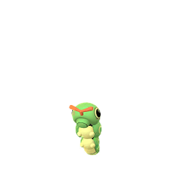 Caterpie