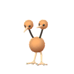 Doduo