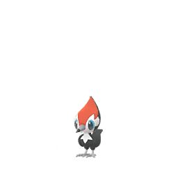 Pikipek