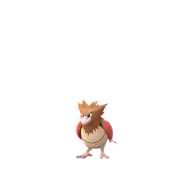 Spearow