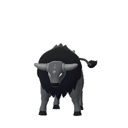 Tauros (Paldea Combat)