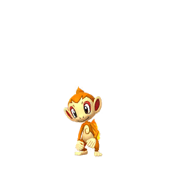 Chimchar