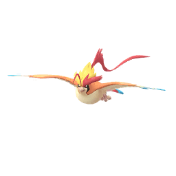 Mega Pidgeot