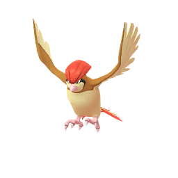 Pidgeotto