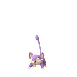 Rattata