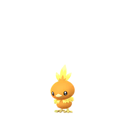 Torchic