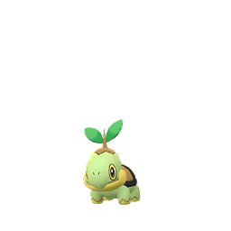 Turtwig
