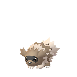 Zigzagoon