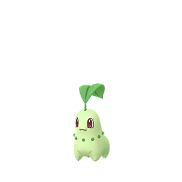 Chikorita