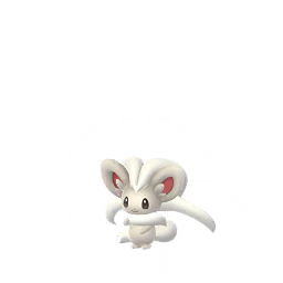 Cinccino
