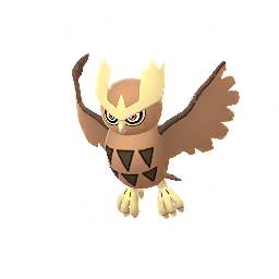 Noctowl