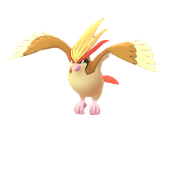 Pidgeot