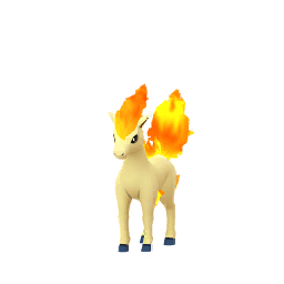 Ponyta
