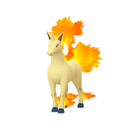 Rapidash