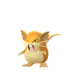 Raticate