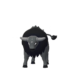 Tauros (Paldea Combat)