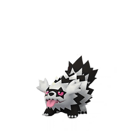 Zigzagoon (Galarian)