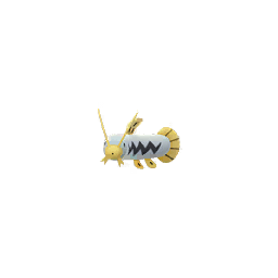 Barboach (Shiny)