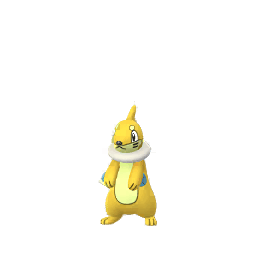 Buizel (Shiny)