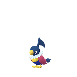 Chatot (Shiny)