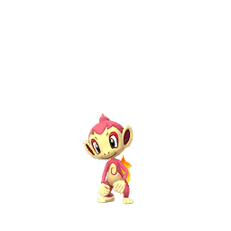 Chimchar (Shiny)