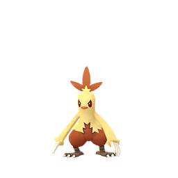 Combusken (Shiny)