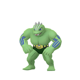 Machoke (Shiny)