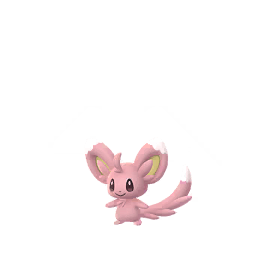 Minccino (Shiny)