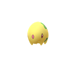 Munna (Shiny)