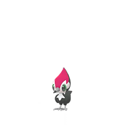 Pikipek (Shiny)