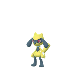 Riolu (Shiny)