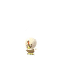 Rufflet (Shiny)