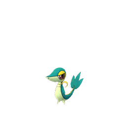 Snivy (Shiny)