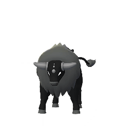 Tauros (Paldea Combat) (Shiny)