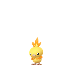 Torchic (Shiny)