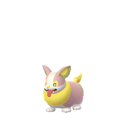 Yamper (Shiny)