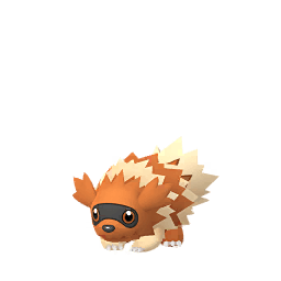 Zigzagoon (Shiny)